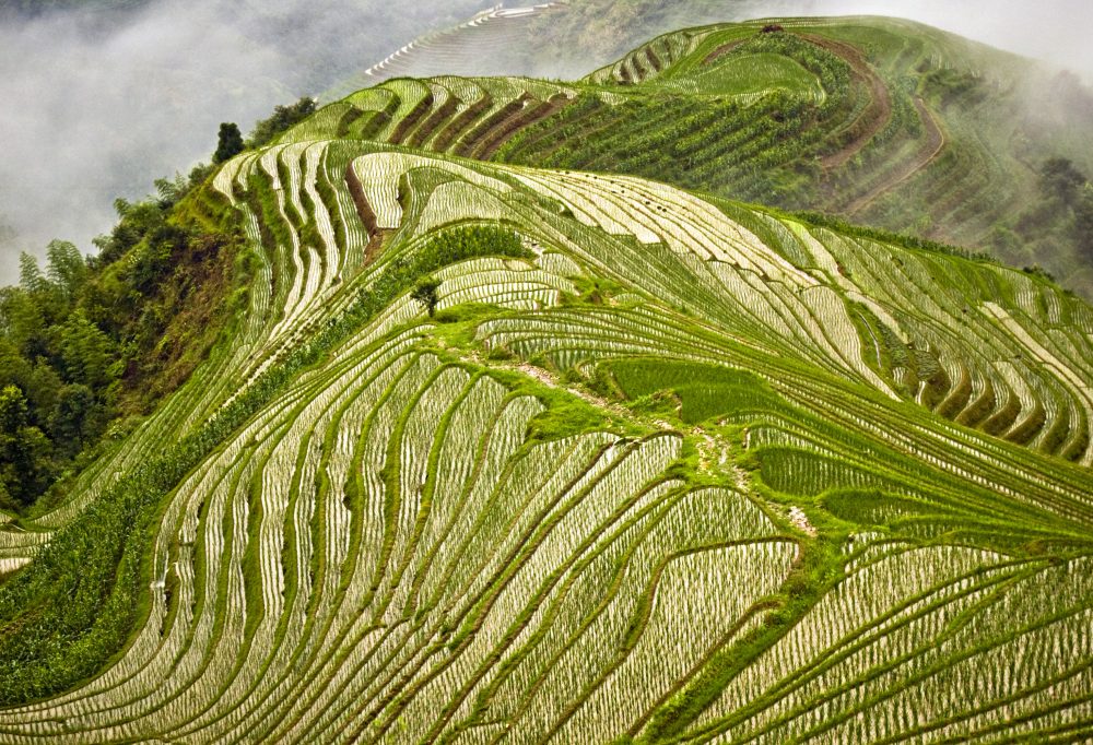 china-pingan-drakensrugrijstvelden-1000