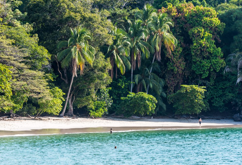 costa-rica-jungle-beach-1000