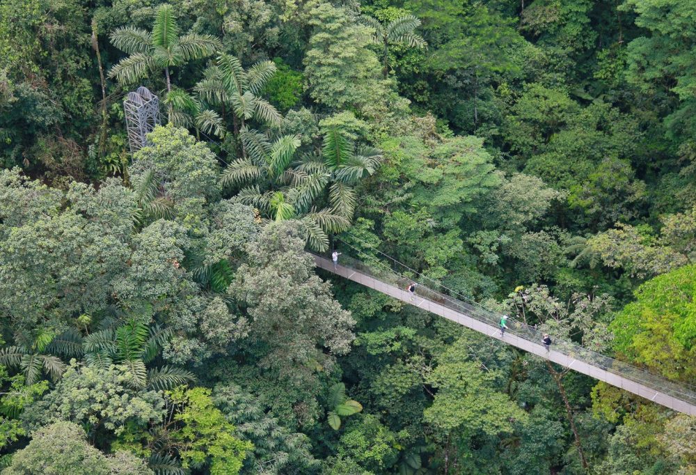 costa-rica-la-fortuna-hanging-bridges-1000