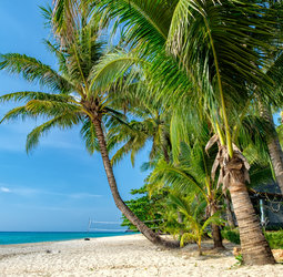 thumb_big_shutterstock_522221593_Ko_Chang_White_sand_beach