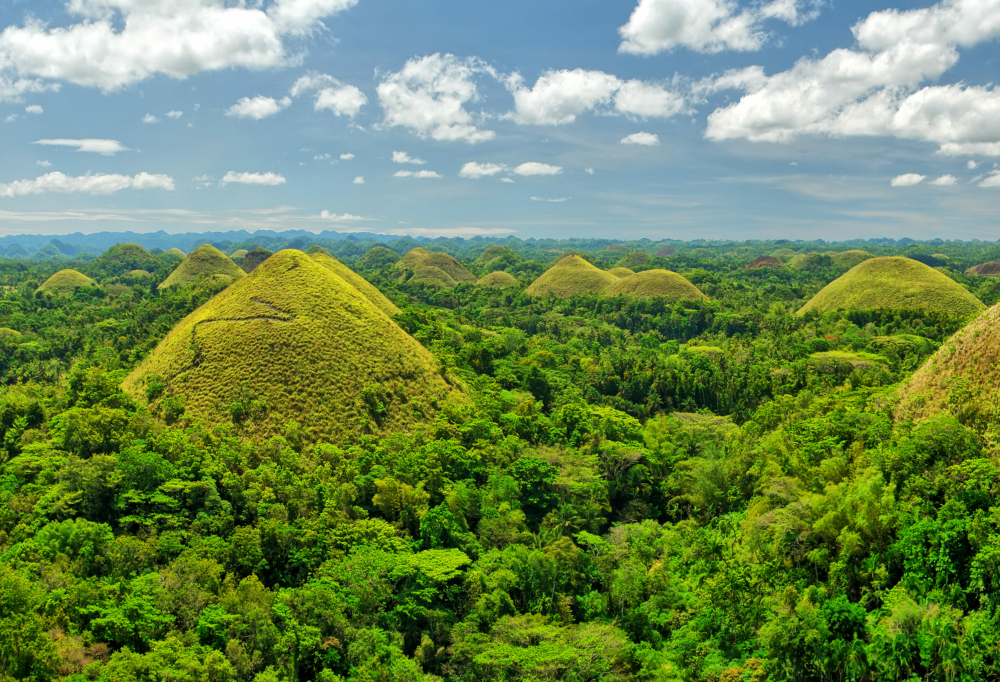 The Chocolate Hills  -  geological formation in the Bohol province of the Philippines.