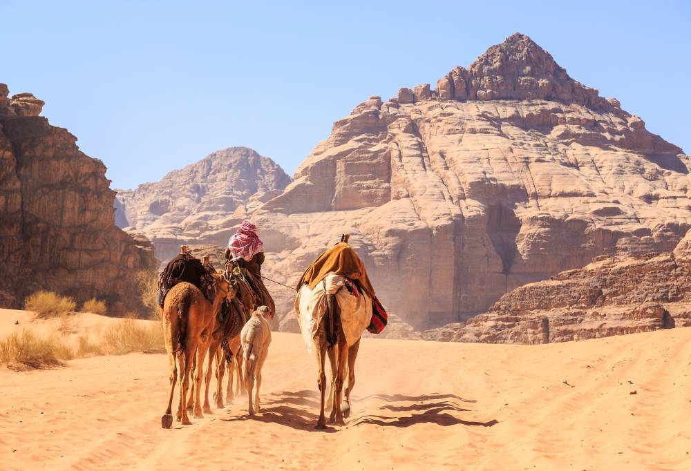 jordanie-wadi-rum-kamelen-in-de-woestijn-1-1000