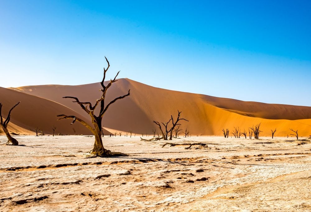 namibie-deadvlei-zandduinen-1000