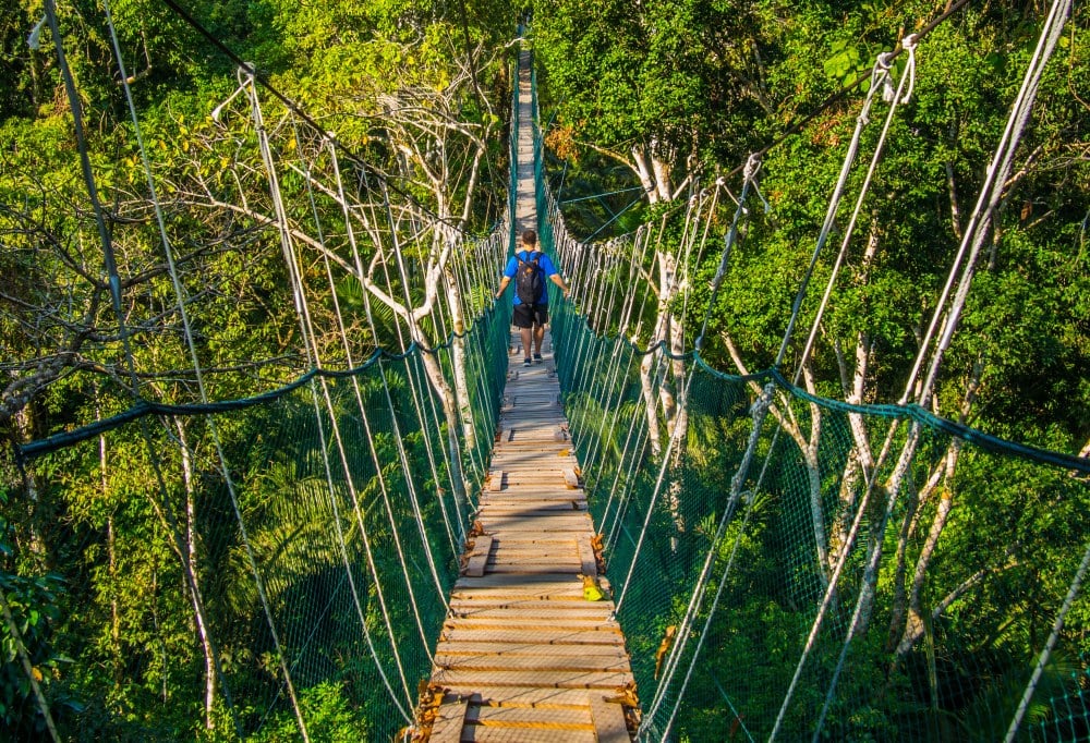 peru-amazone-regenwoud-tambopata-hangbrug-1000