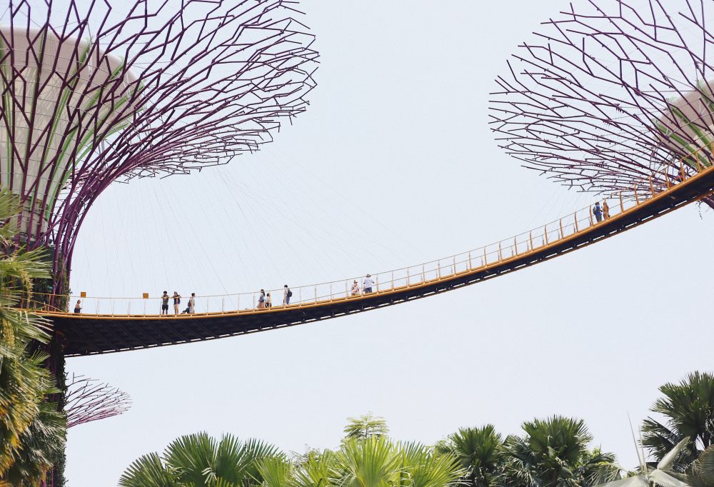singapore-gardens-by-the-bay-superbomen-4-1000