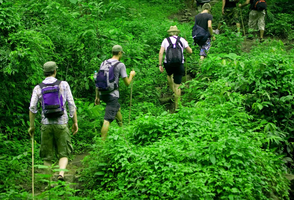 thailand-jungle-trekking-1000